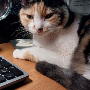 Meet your Posher, Loretta